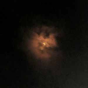 Meet your Posher, Ben